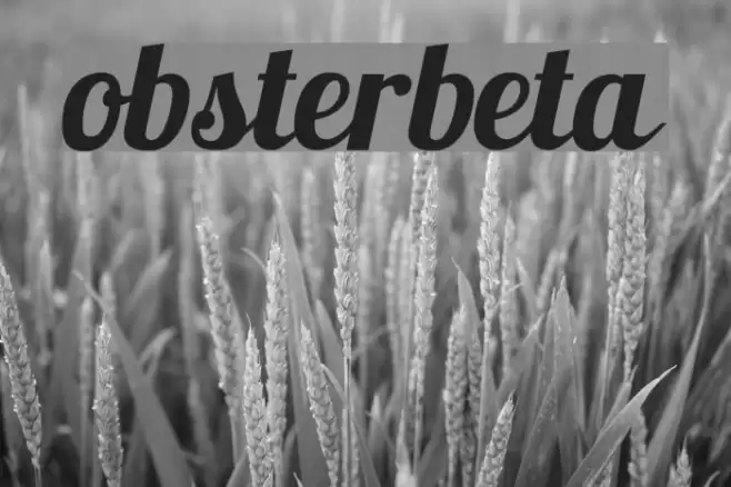 Lobsterbeta9 Font examples