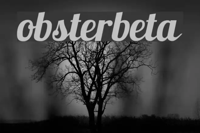 Lobsterbeta9 Font examples