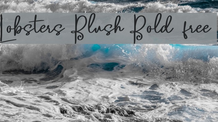 Lobsters Blush Bold free Font examples