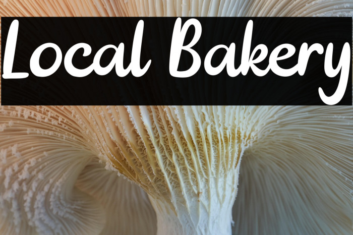 Local Bakery Example 1