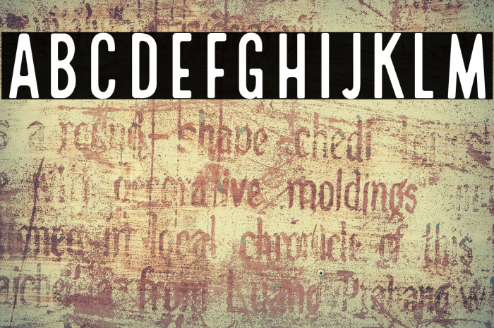 Local Brewery Sans Example 3