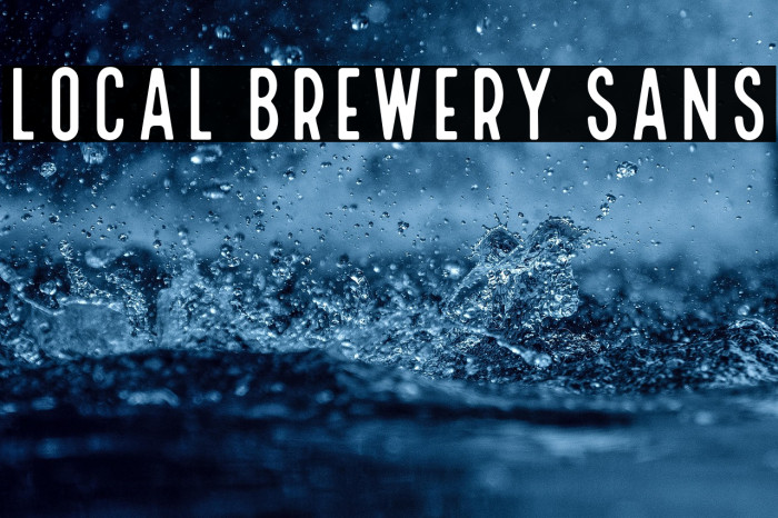 Local Brewery Sans Example 1