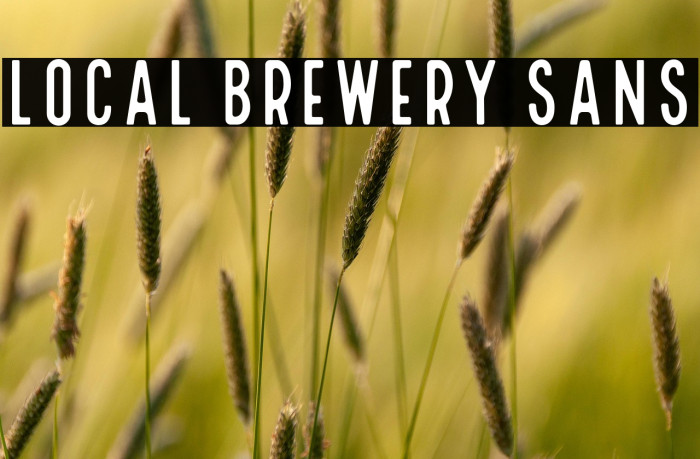 Local Brewery Sans Example 2