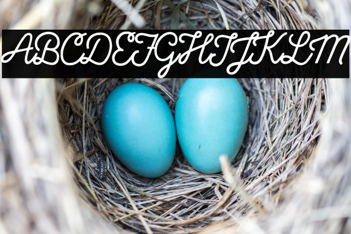 Local Brewery Two Example 3