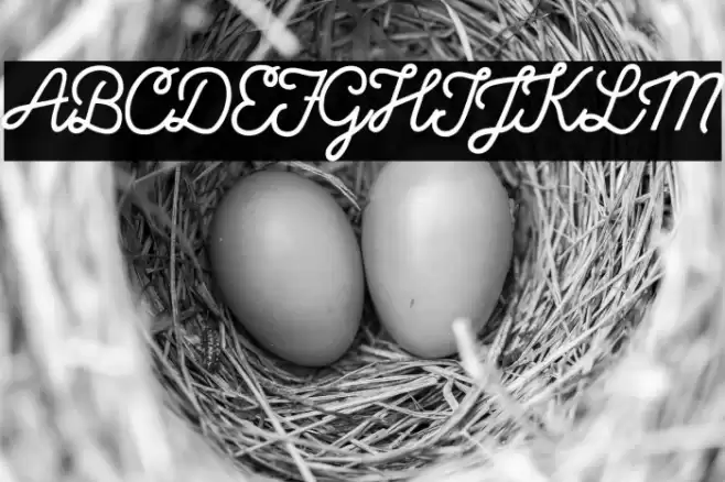 Local Brewery Two Font examples