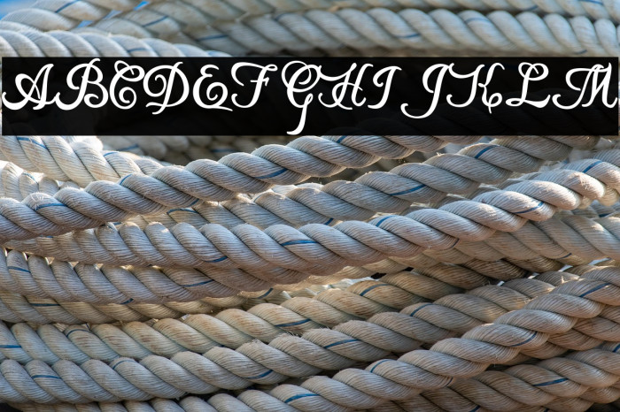 Local Motion Personal Use Example 1