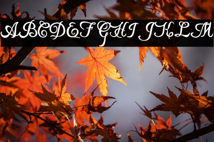 Local Motion Personal Use Example 2