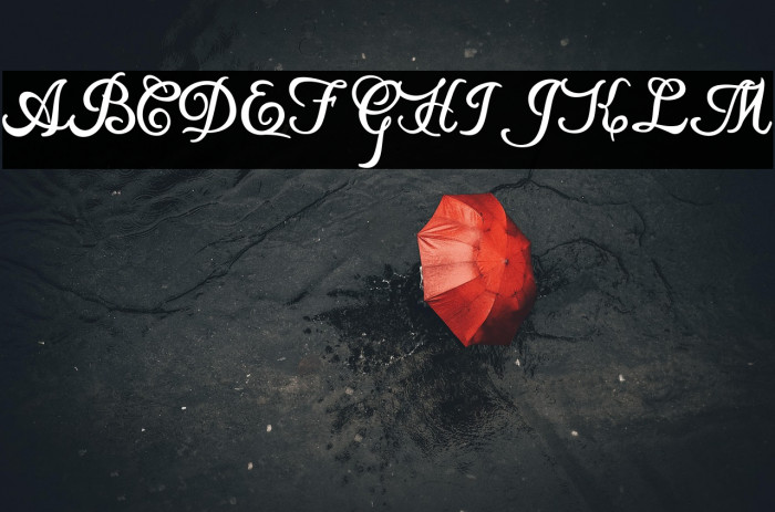 Local Motion Personal Use Example 3