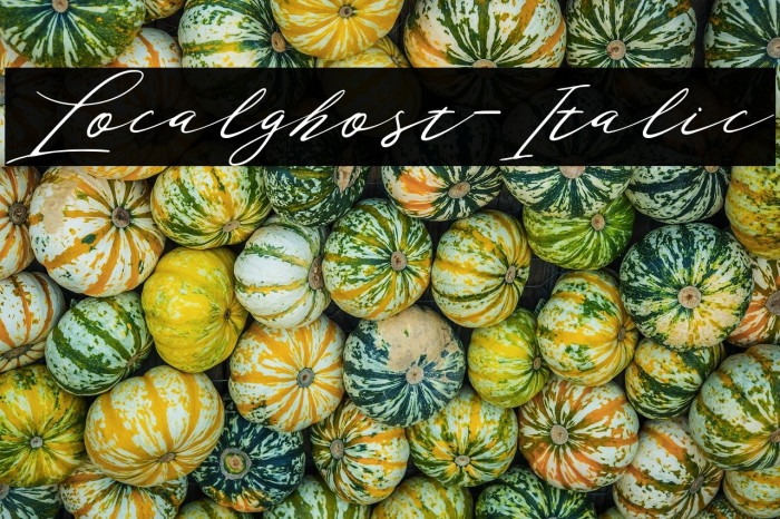 Localghost-Italic Example 2