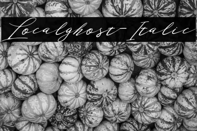 Localghost-Italic Font examples