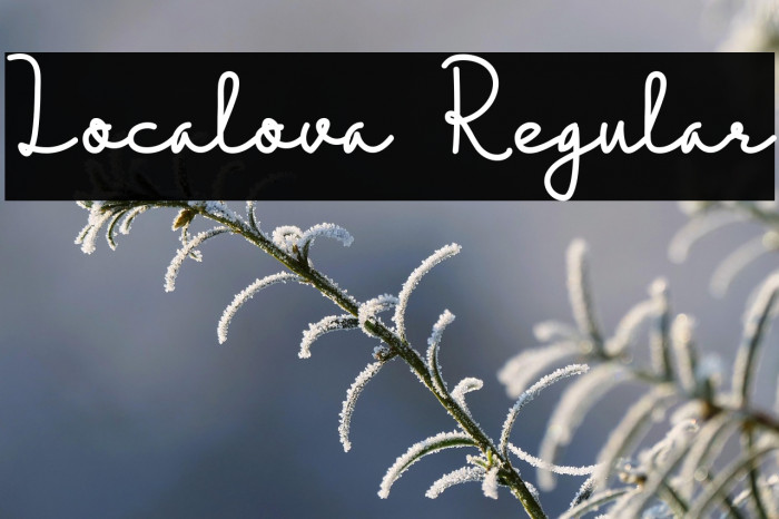 Localova  Regular Example 1