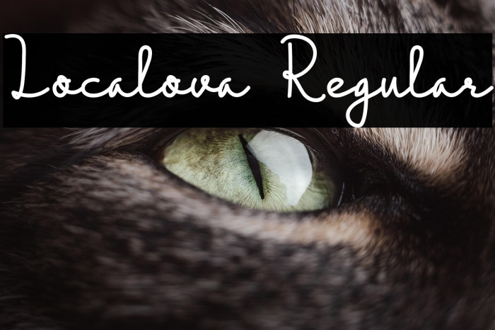 Localova  Regular Example 2