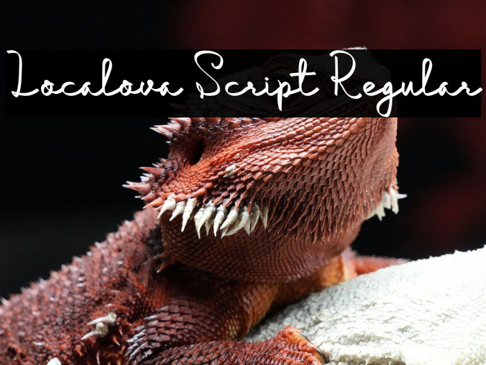 Localova Script Regular Example 1
