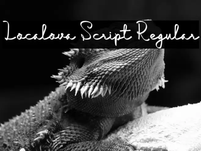 Localova Script Regular Font examples