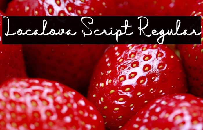 Localova Script Regular Example 3