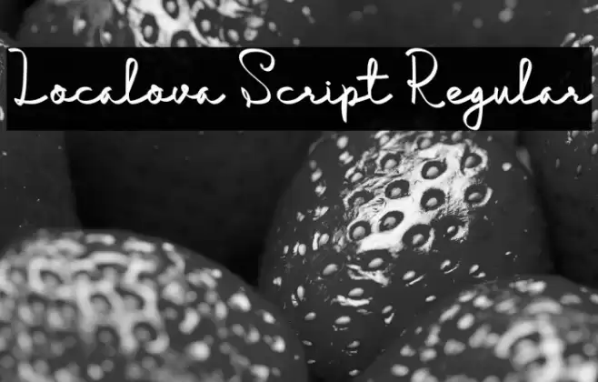 Localova Script Regular Font examples