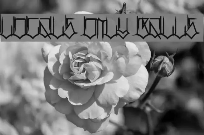 Locals Only Balls Font examples