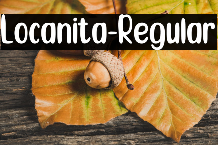 Locanita-Regular Example 1
