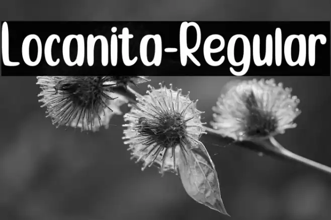 Locanita-Regular Font examples
