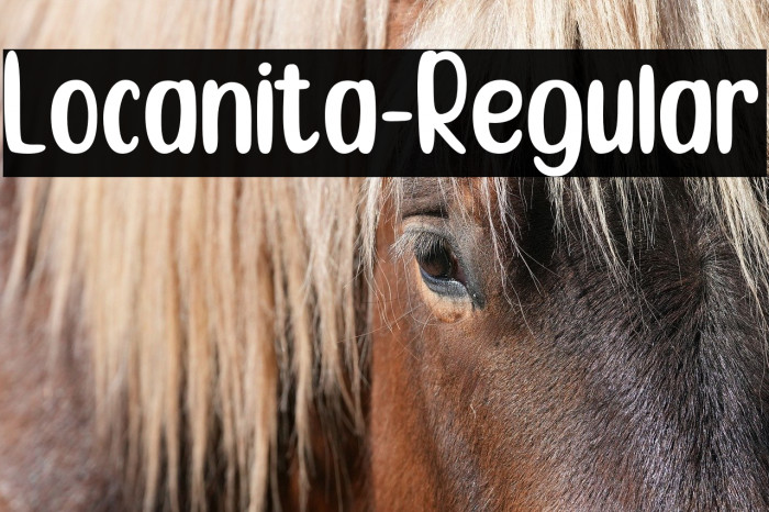 Locanita-Regular Example 3