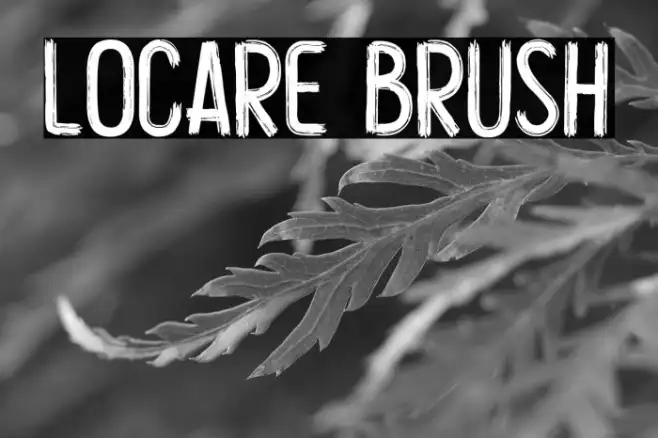 Locare Brush Example 3