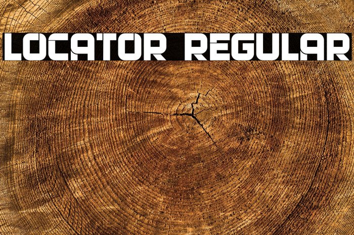 Locator Regular Font examples