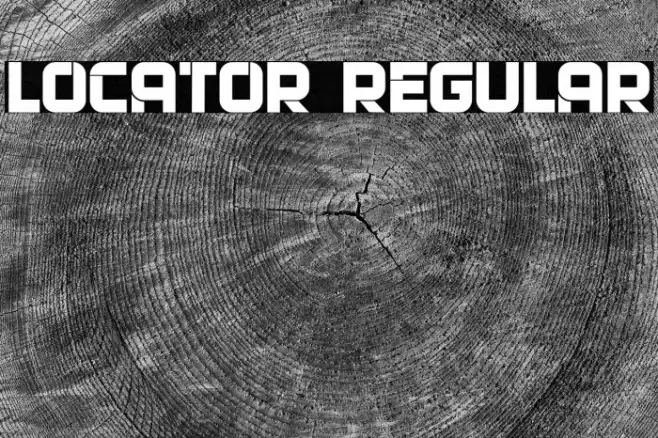 Locator Regular Example 1