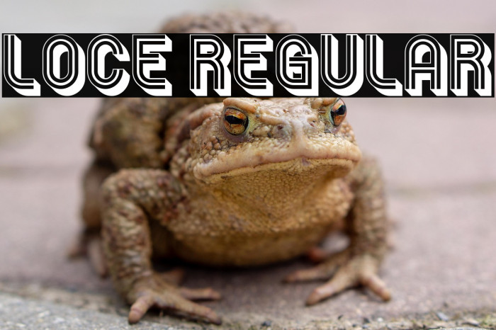 Loce Regular Example 1