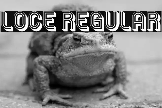 Loce Regular Font examples