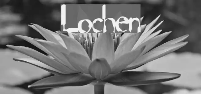 Lochen Example 2