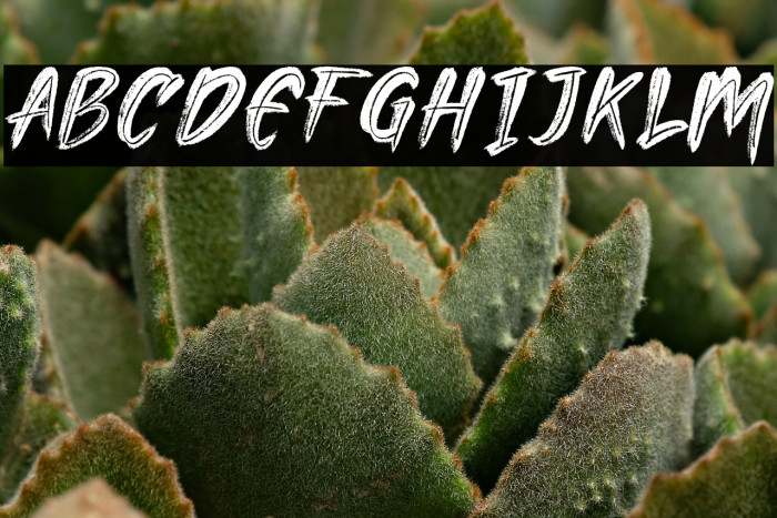 Lockdown demo Example 1