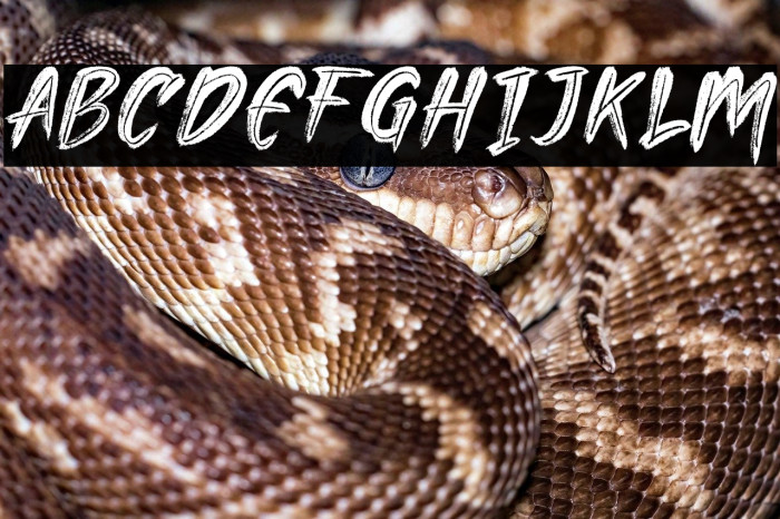 Lockdown demo Example 2