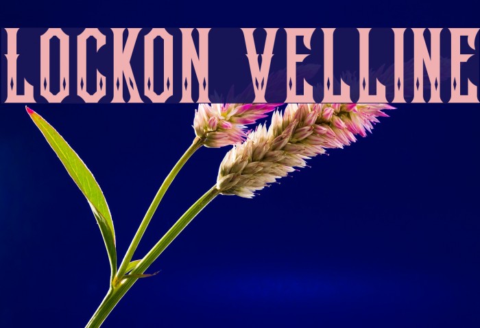 Lockon Velline Font examples