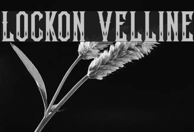 Lockon Velline Example 2