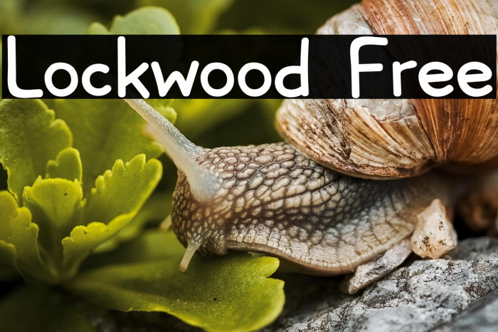 Lockwood Free Example 1