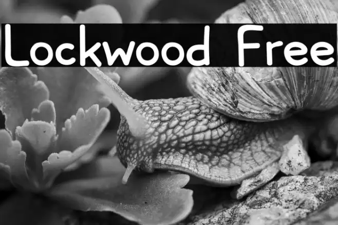 Lockwood Free Example 1