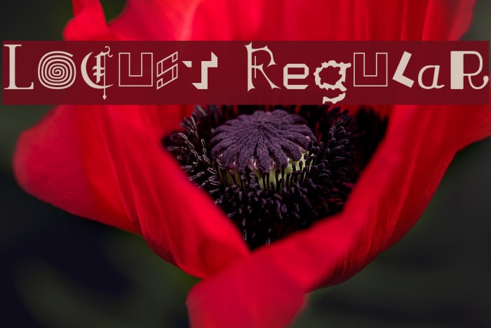 Locust Regular Font examples