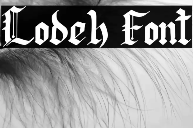 Lodeh Example 3