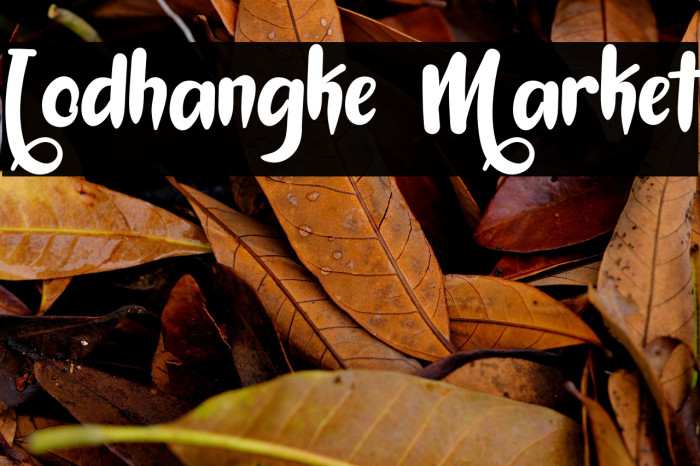 Lodhangke Market Example 1