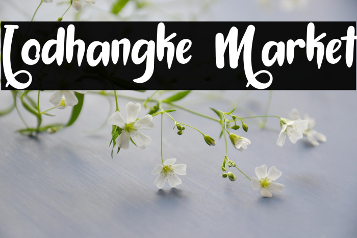 Lodhangke Market Example 2