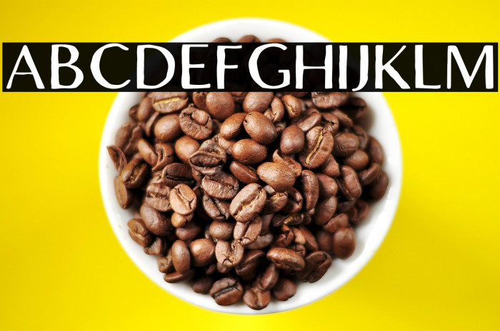 LofiCottageFree-Regular Example 1