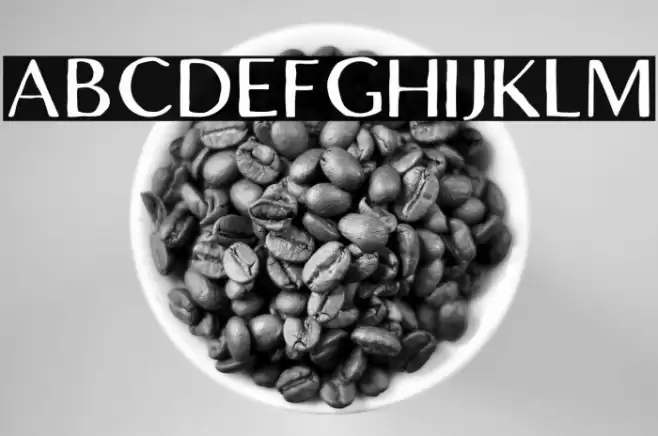 LofiCottageFree-Regular Font examples