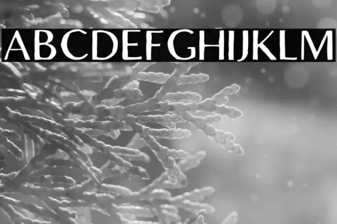 LofiCottageFree-Regular Font examples