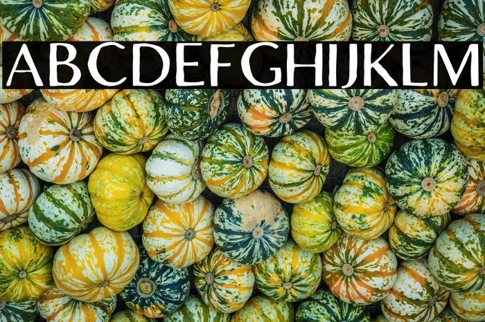 LofiCottageFree-Regular Example 3