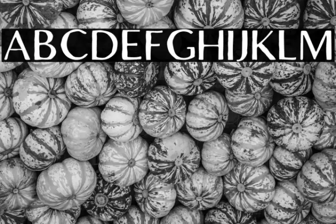 LofiCottageFree-Regular Font examples