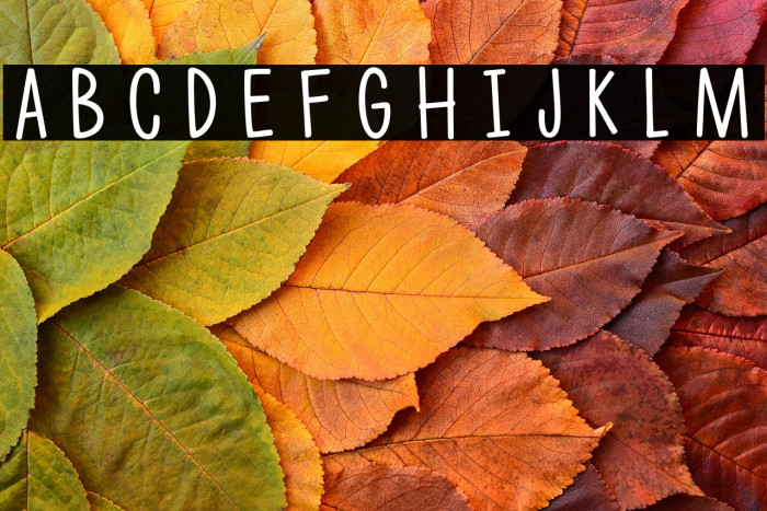 LofiLifestyle-Regular Example 2