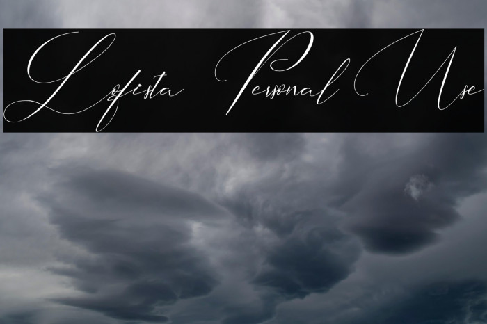 Lofista - Personal Use Example 3