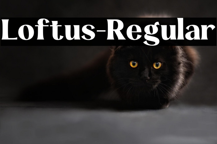 Loftus-Regular Example 1