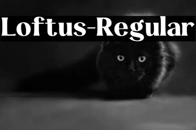 Loftus-Regular Example 1