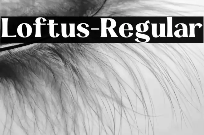 Loftus-Regular Example 3